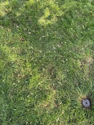 Colorado State Landscape & Design Logo