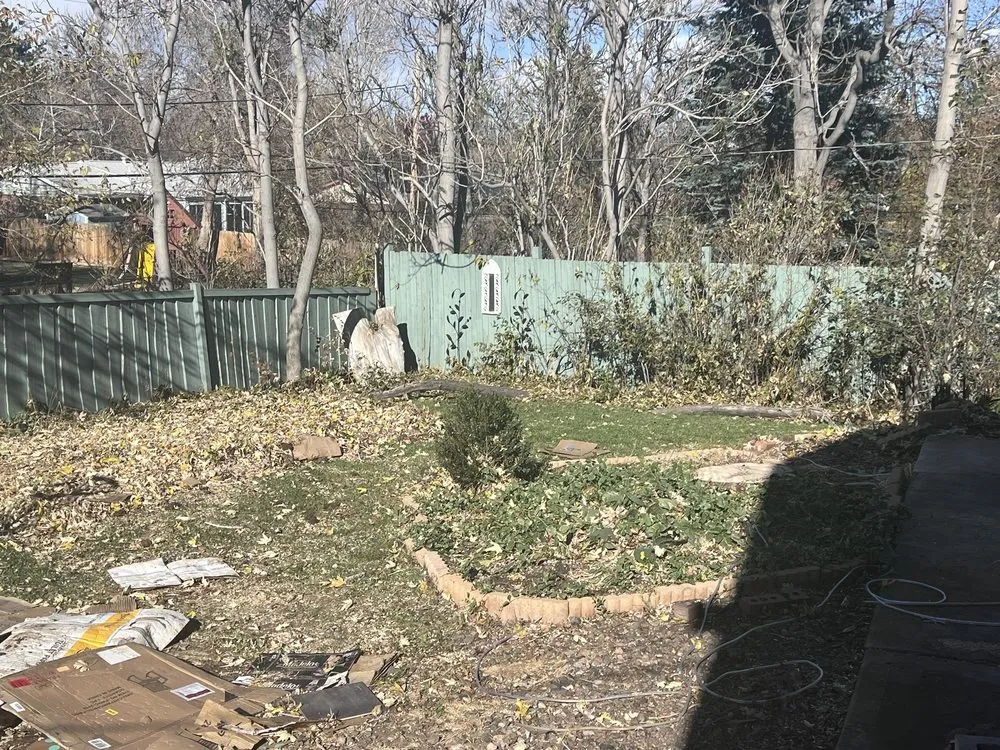 Local yard cleanup service in Littleton, CO by Colorado Tree & Lawn Specialists