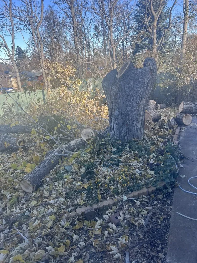 Top-rated garden landscaping near you in Littleton, CO by Colorado Tree & Lawn Specialists