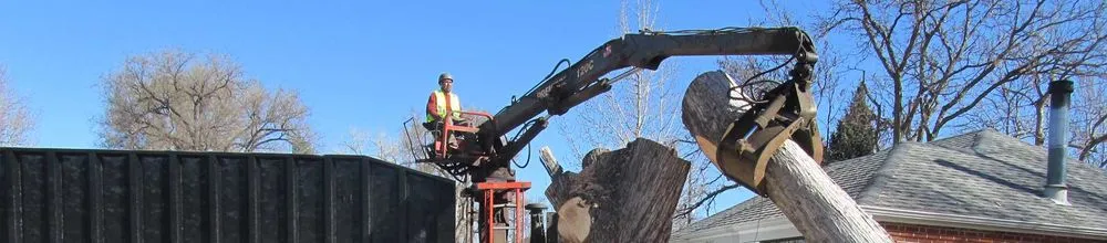 Local outdoor landscaping in Littleton, CO by Colorado Tree & Lawn Specialists
