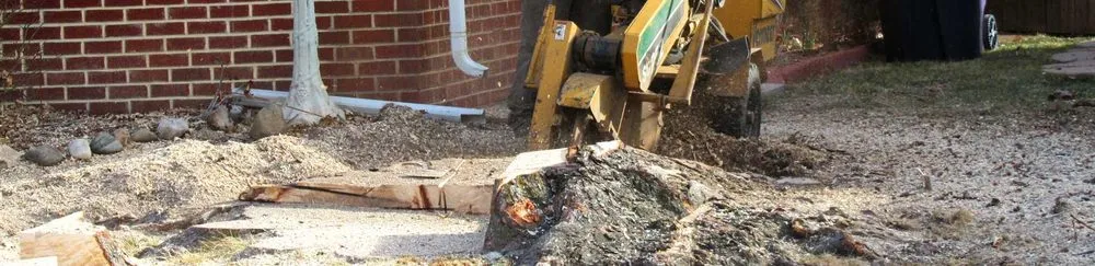 Trusted lawn mowing service for residential properties across Littleton, CO - Colorado Tree & Lawn Specialists