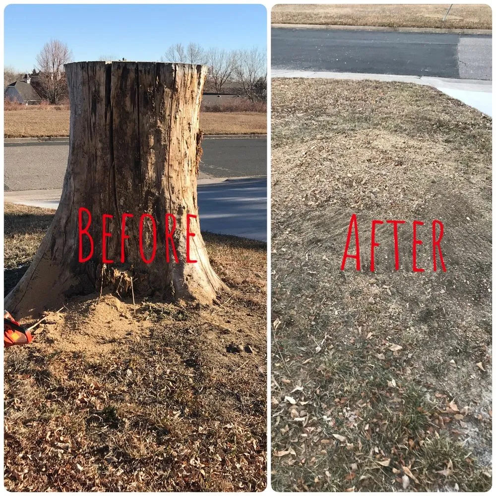 Local landscape installation experts serving Loveland, CO - Colorado Tree Service Plus