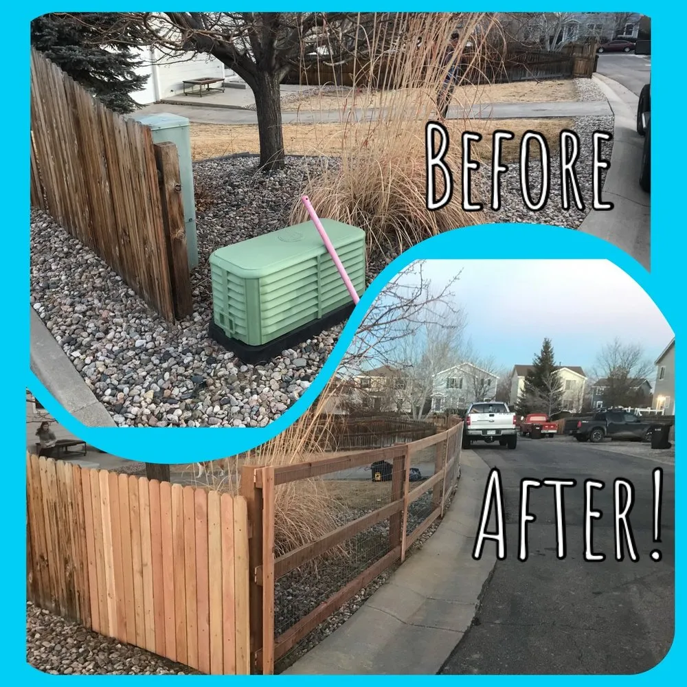 Reliable yard cleanup service near you in Loveland, CO by Colorado Tree Service Plus