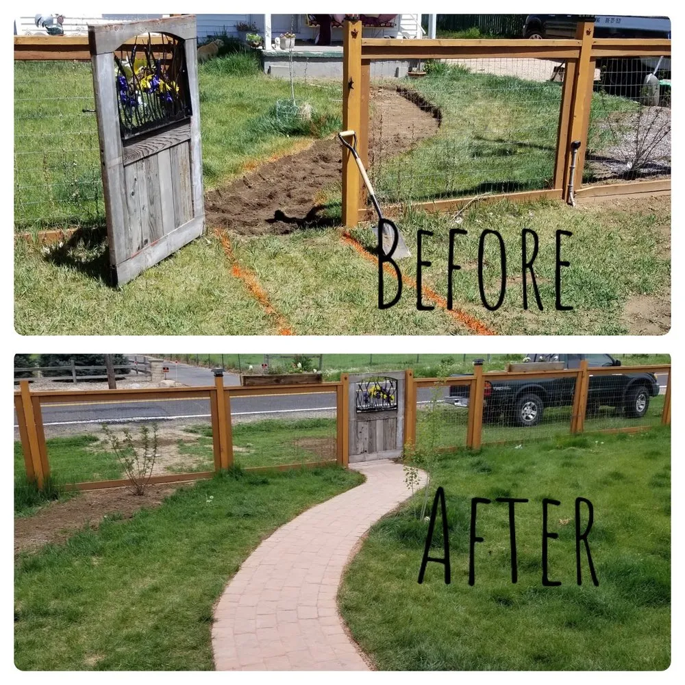 Trusted yard maintenance for year-round maintenance across Loveland, CO - Colorado Tree Service Plus