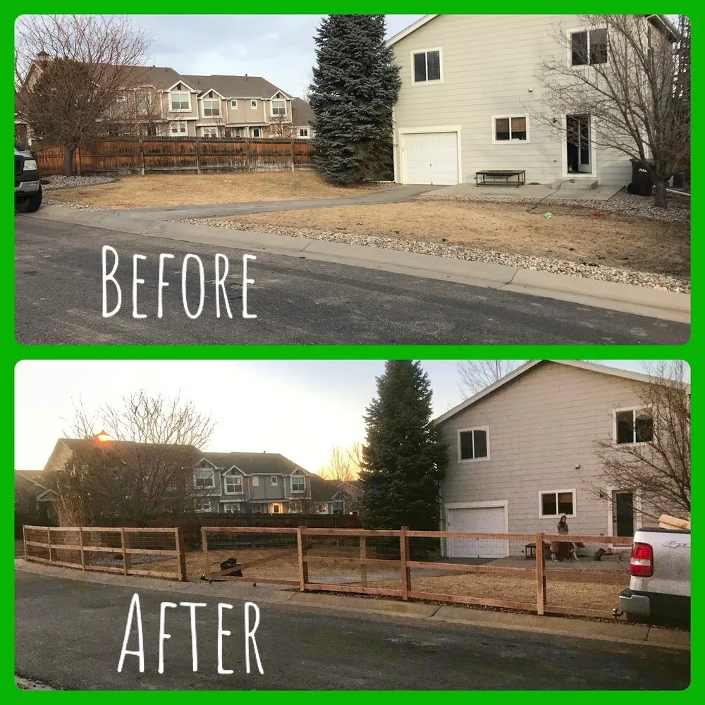 Top-rated landscape installation in Loveland, CO - Colorado Tree Service Plus