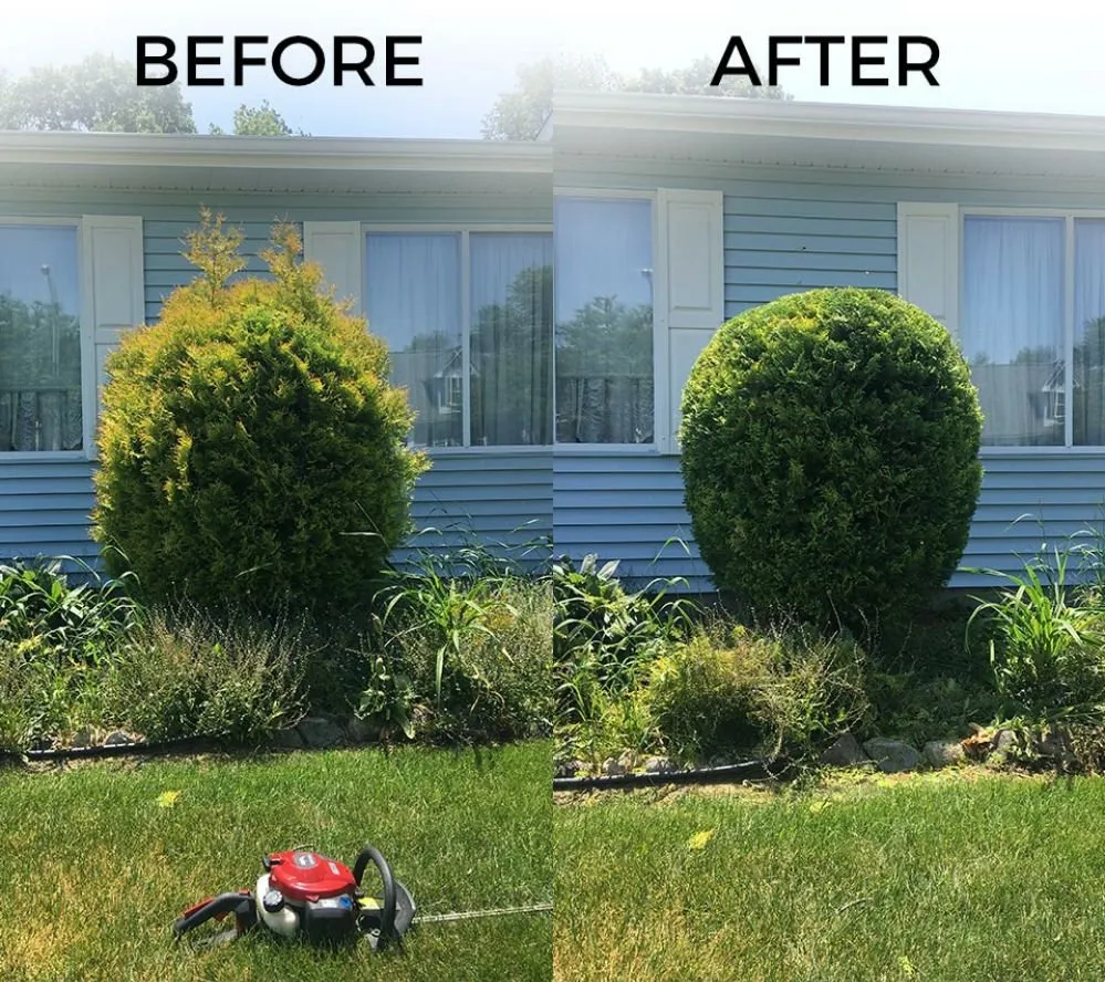 Top-rated residential landscaping in Milliken, CO - Colorado Turf Kings