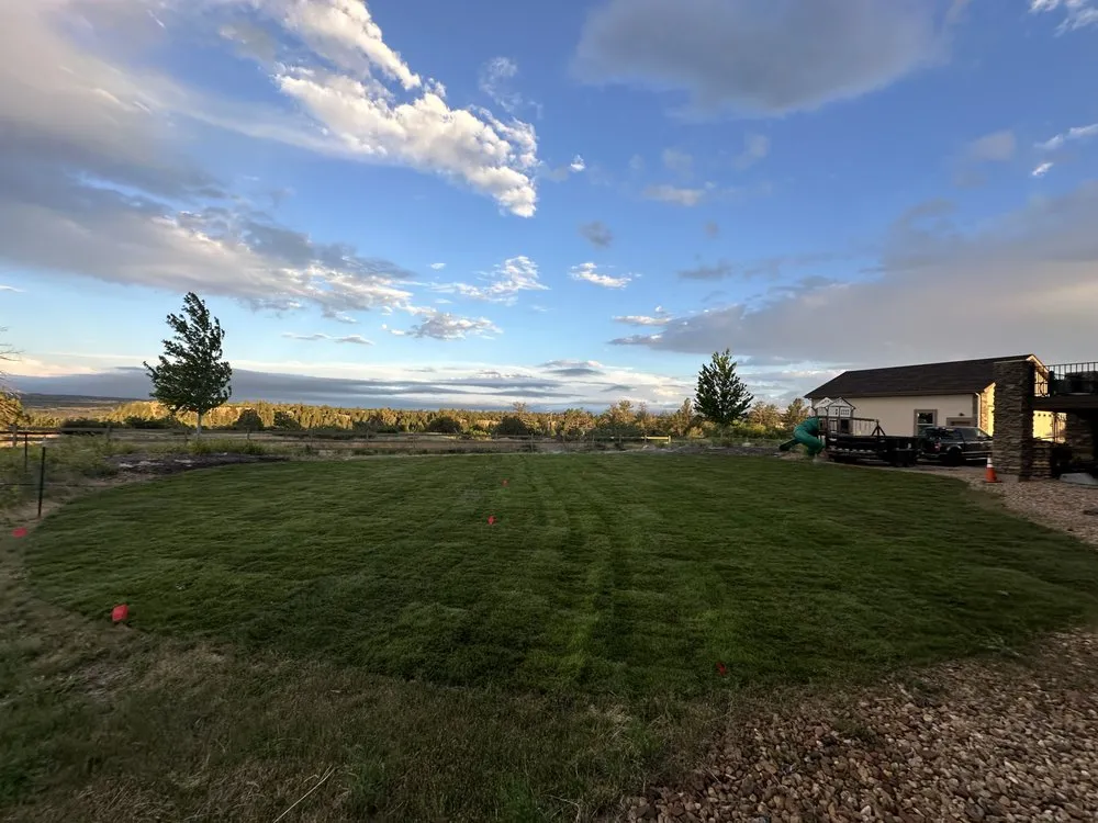 Top-rated yard cleanup service near you in Castle Rock, CO by Colorado's Greenest Thumb