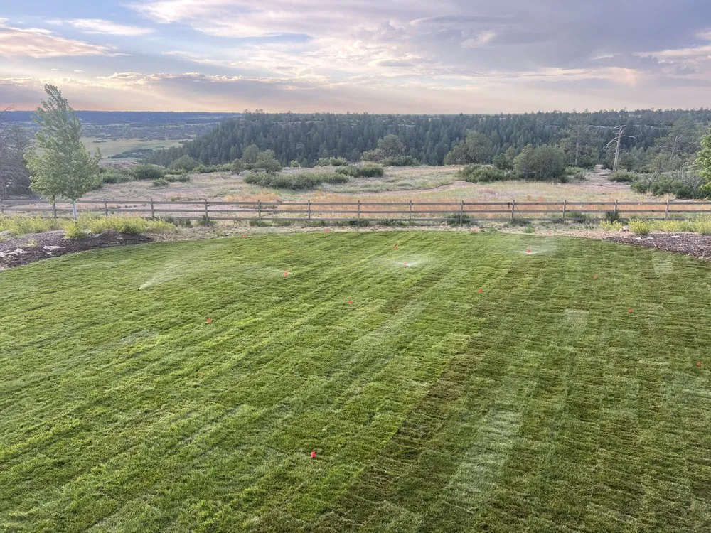 Expert lawn care service experts serving Castle Rock, CO - Colorado's Greenest Thumb