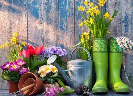 Local landscape installation in Castle Rock, CO by Colorado's Greenest Thumb