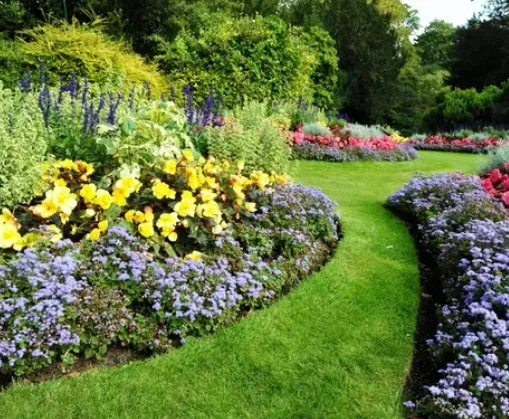 Professional lawn mowing service in Castle Rock, CO by Colorado's Greenest Thumb