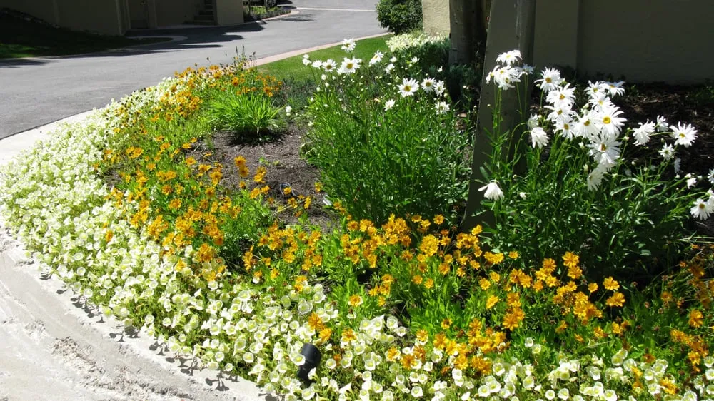 Local residential landscaping in Avon, CO - Colorado's Landscaping Co