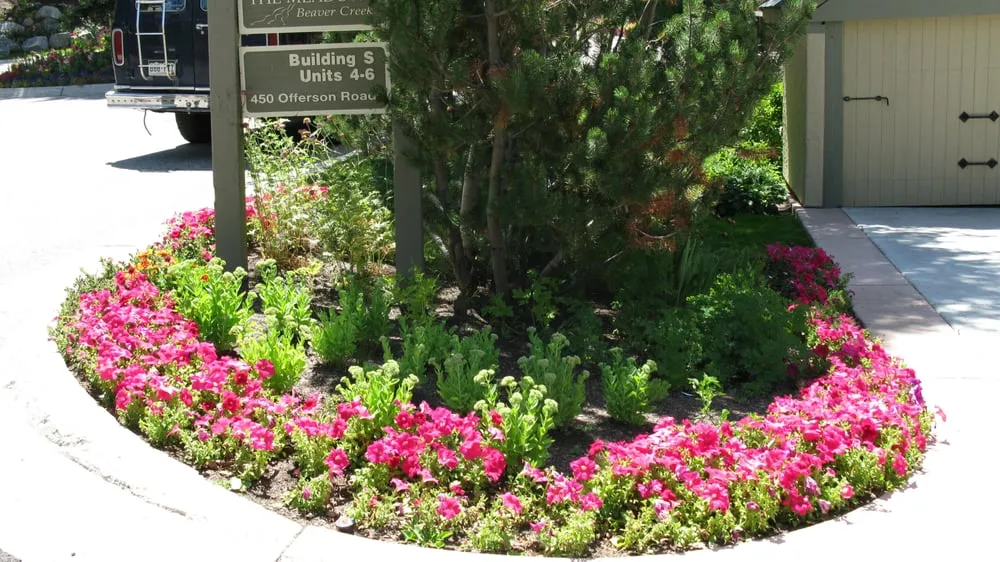 Professional residential landscaping in Avon, CO - Colorado's Landscaping Co