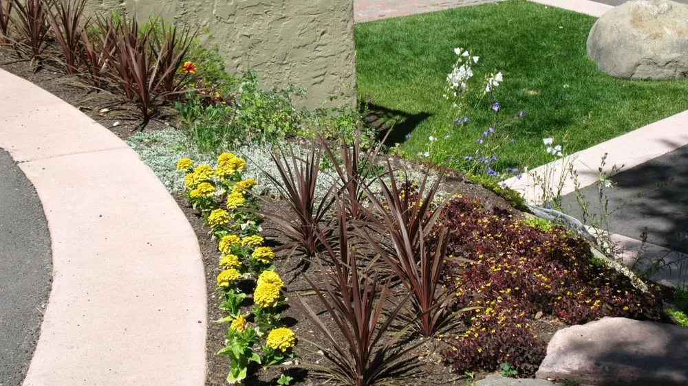 Trusted outdoor landscaping for year-round maintenance in Avon, CO by Colorado's Landscaping Co