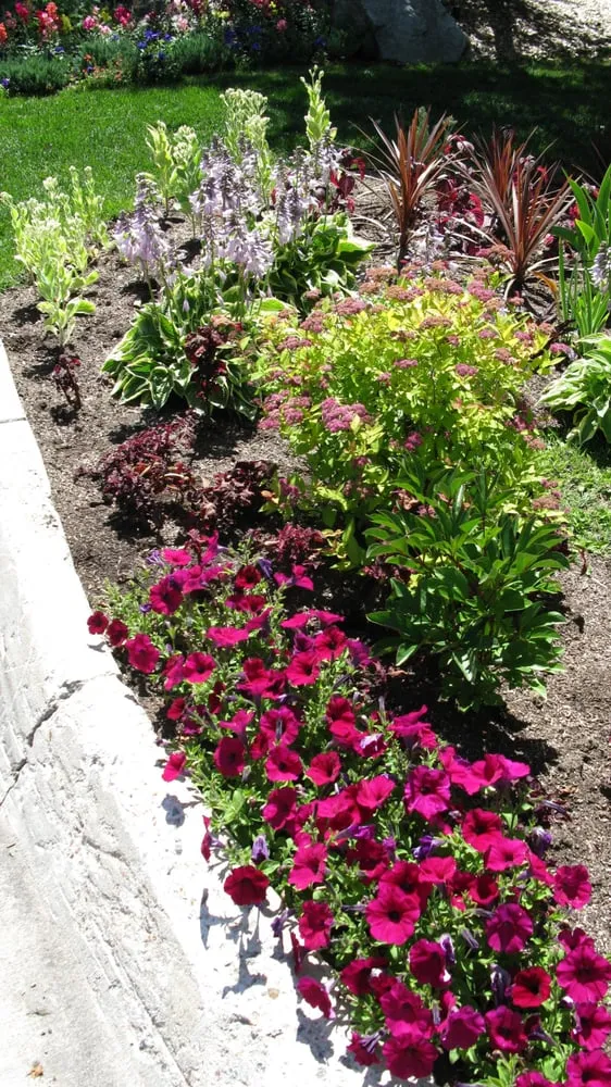 Trusted landscape design for homes across Avon, CO - Colorado's Landscaping Co