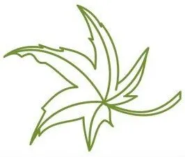 Affordable landscape design experts serving Omaha, NE - Colorburst Landscape & Design