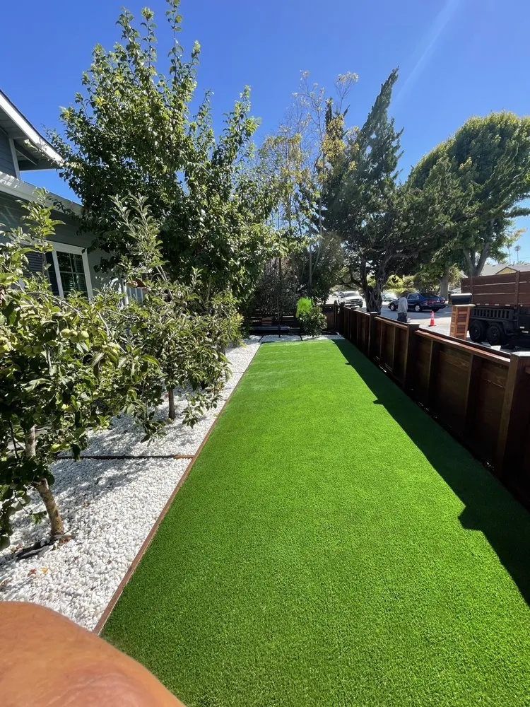 Expert yard maintenance experts serving Aromas, CA - Colores Tree Service