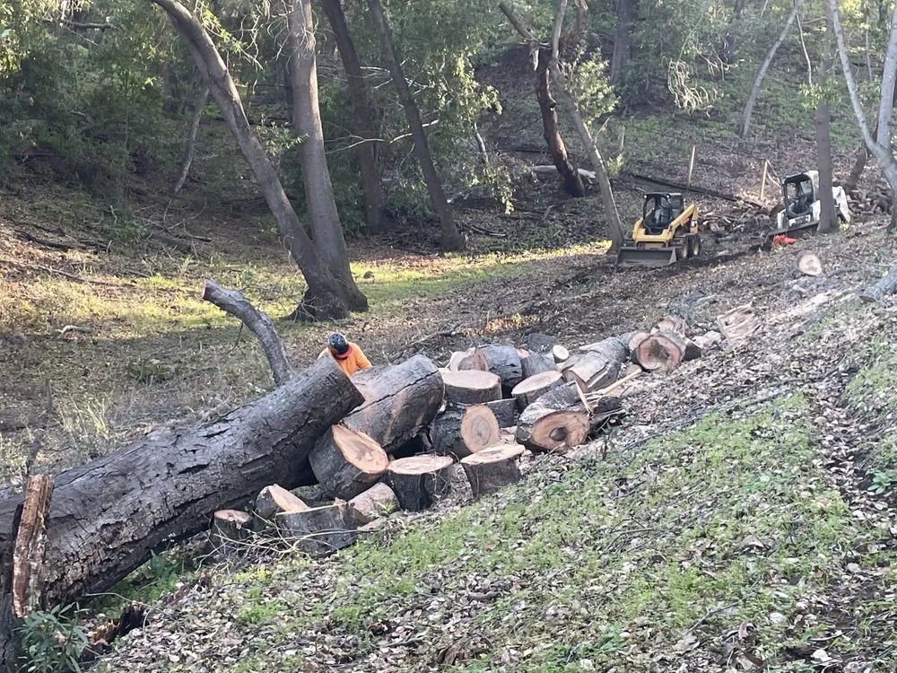 Top-rated garden landscaping for year-round maintenance in Aromas, CA by Colores Tree Service