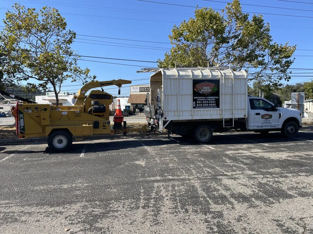 Reliable yard maintenance in Aromas, CA by Colores Tree Service