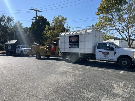 Colores Tree Service