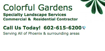 Trusted landscape installation in Phoenix, AZ by Colorful Gardens