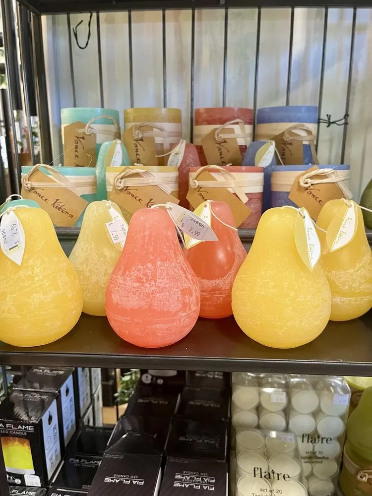 Expert yard cleanup service near you across Alexandria, MN - Colorful Seasons Garden Center