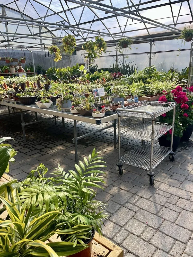 Trusted outdoor landscaping experts serving Alexandria, MN - Colorful Seasons Garden Center