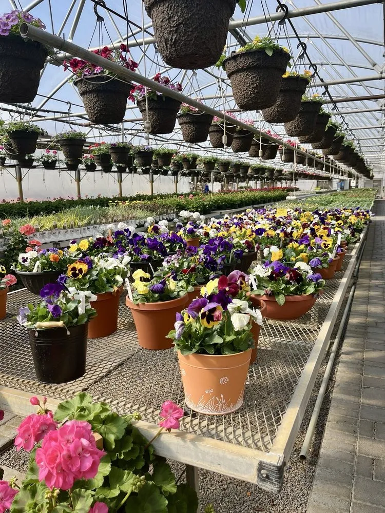 Local lawn care service with custom design across Alexandria, MN - Colorful Seasons Garden Center