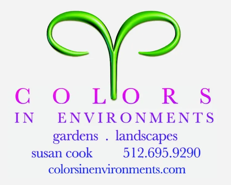 Reliable lawn care service for outdoor upgrades across Driftwood, TX - Colors in Environments