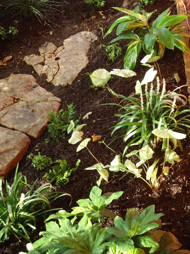 Trusted outdoor landscaping for outdoor upgrades in Driftwood, TX by Colors in Environments