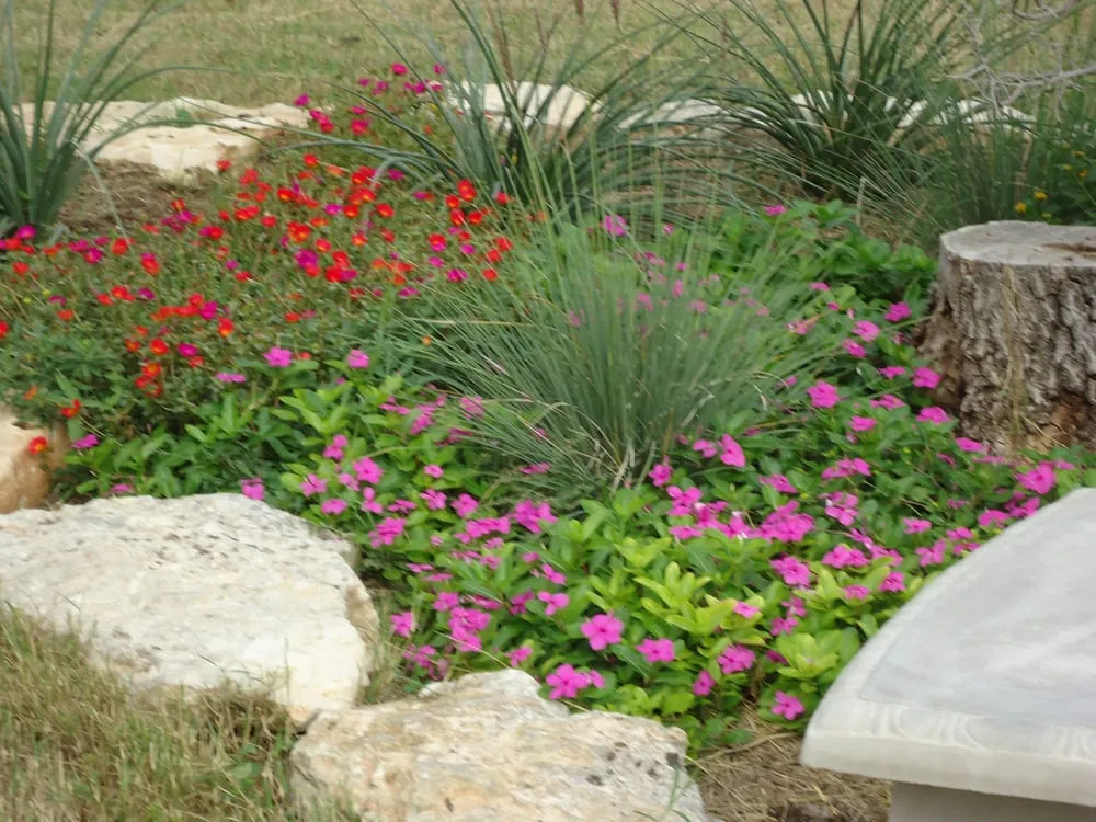 Custom residential landscaping in Driftwood, TX - Colors in Environments