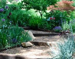 Affordable yard cleanup service in Driftwood, TX - Colors in Environments