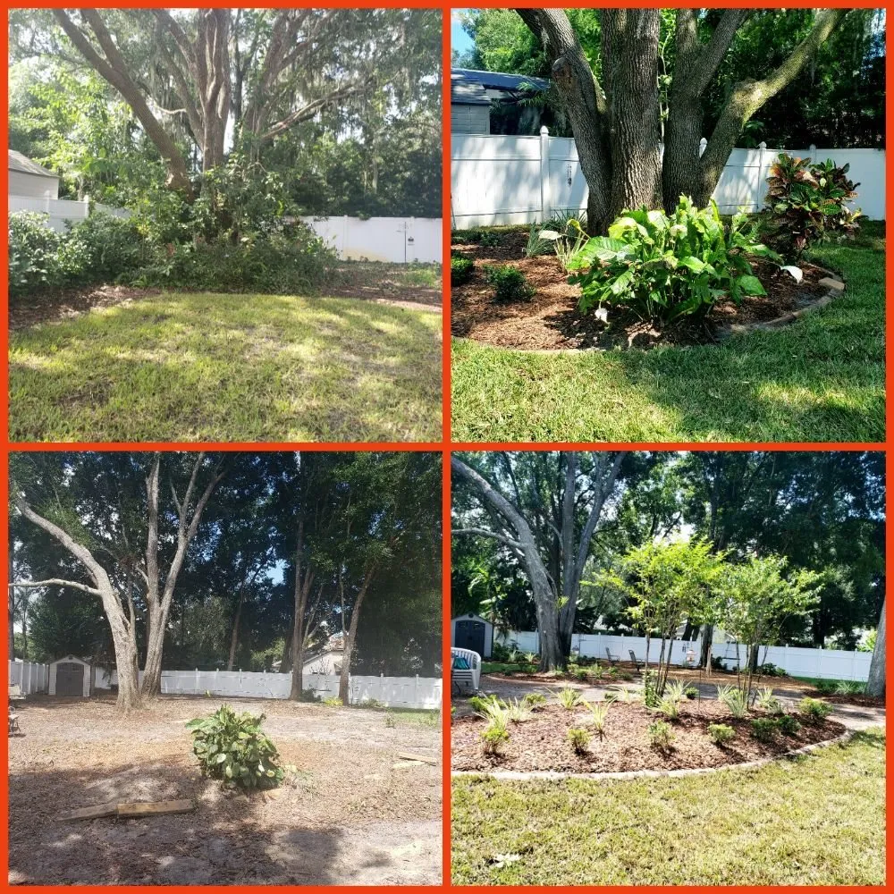 Expert landscape installation in Aloma, FL - Colors of Paradise