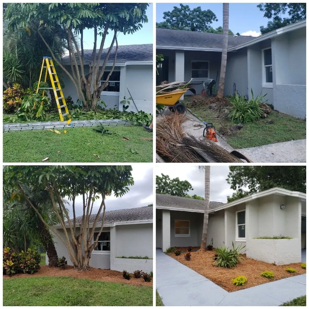 Custom yard maintenance in Aloma, FL - Colors of Paradise