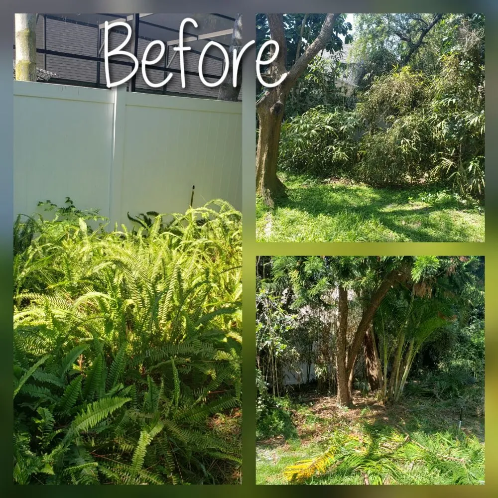 Expert landscape design for beautiful yards across Aloma, FL - Colors of Paradise