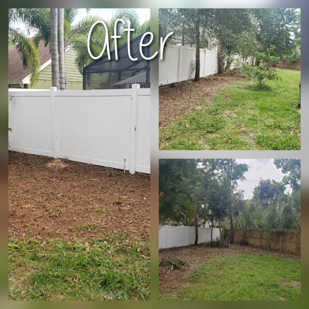Trusted landscape installation in Aloma, FL by Colors of Paradise