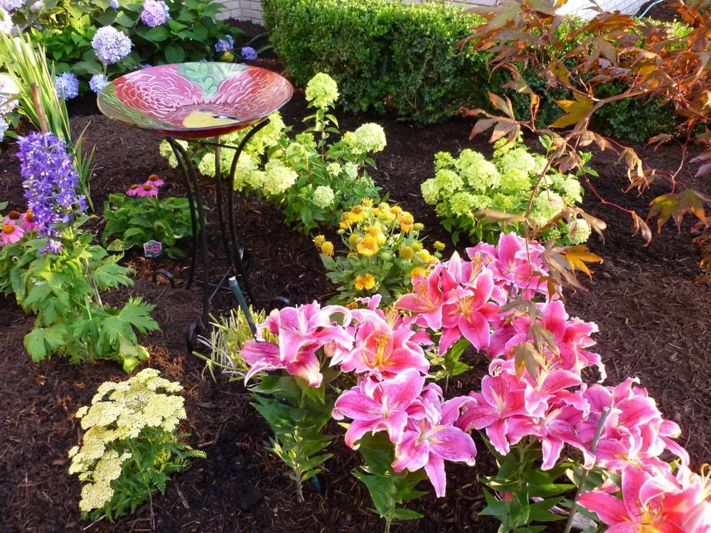 Top-rated yard cleanup service for homes in Ortonville, MI by Colorscape Landscaping