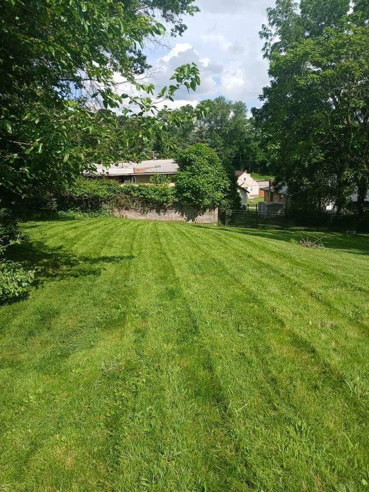 Top-rated landscape installation for outdoor upgrades in Canonsburg, PA by Colosimo Outdoor Services