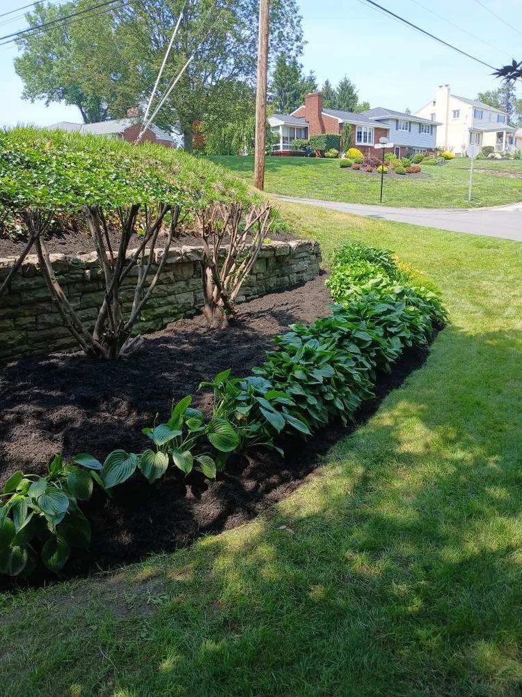 Expert landscaping services for outdoor upgrades in Canonsburg, PA by Colosimo Outdoor Services