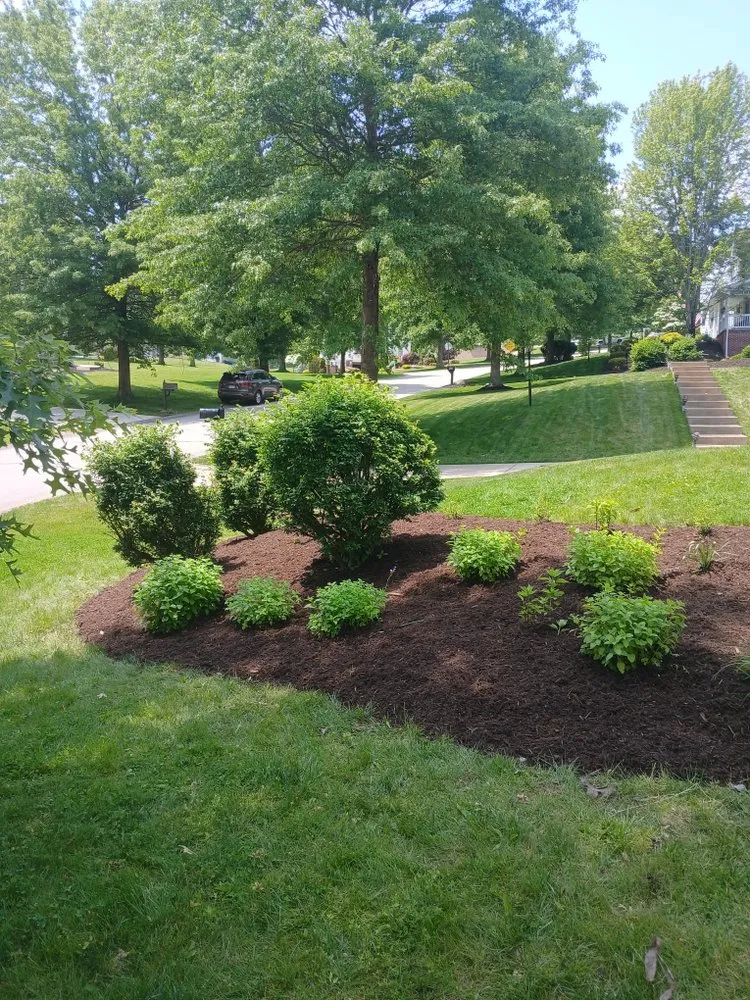 Reliable lawn mowing service for outdoor upgrades across Canonsburg, PA - Colosimo Outdoor Services
