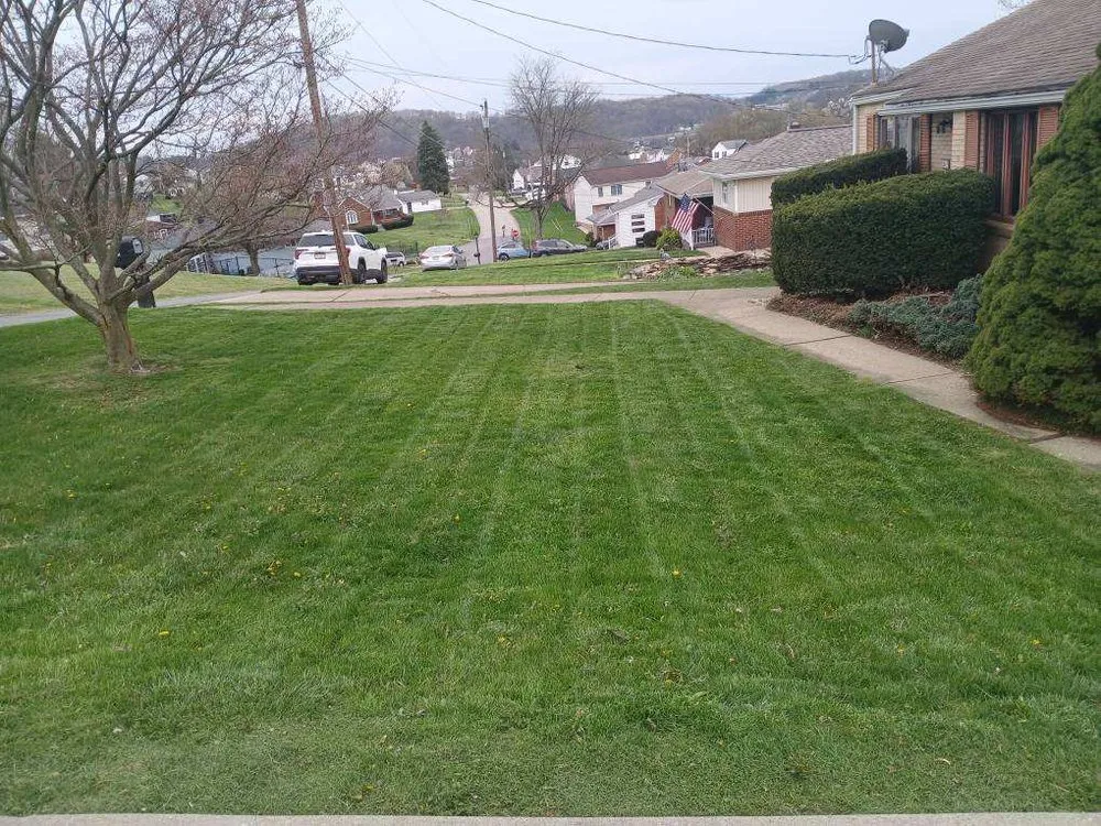 Affordable landscape design for outdoor upgrades across Canonsburg, PA - Colosimo Outdoor Services