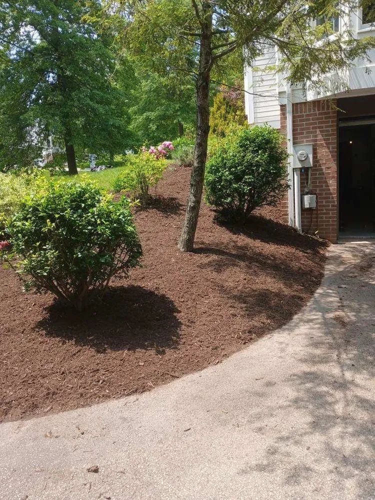 Local residential landscaping in Canonsburg, PA by Colosimo Outdoor Services