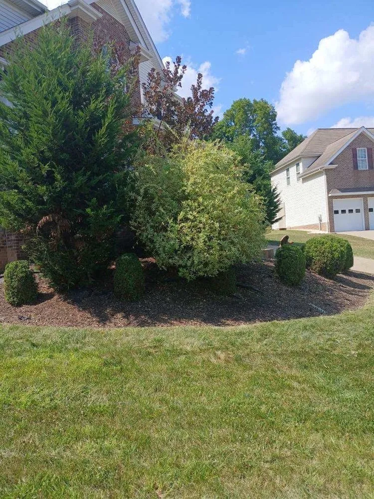 Expert lawn care service experts serving Canonsburg, PA - Colosimo Outdoor Services