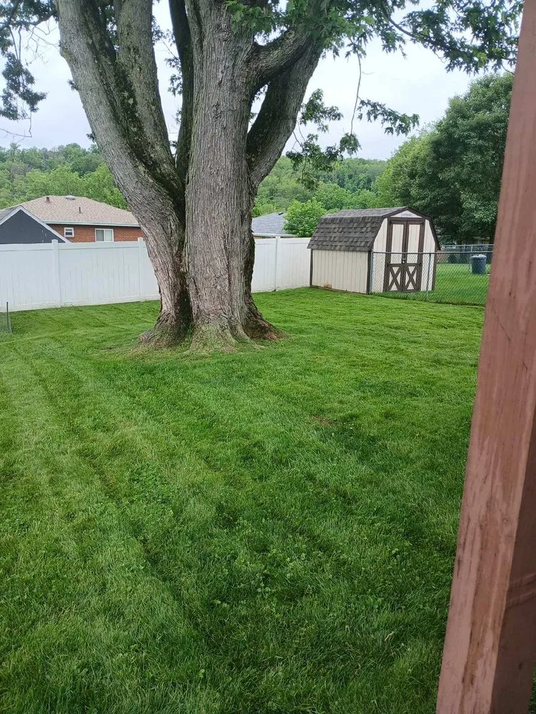 Professional outdoor landscaping for beautiful yards in Canonsburg, PA by Colosimo Outdoor Services