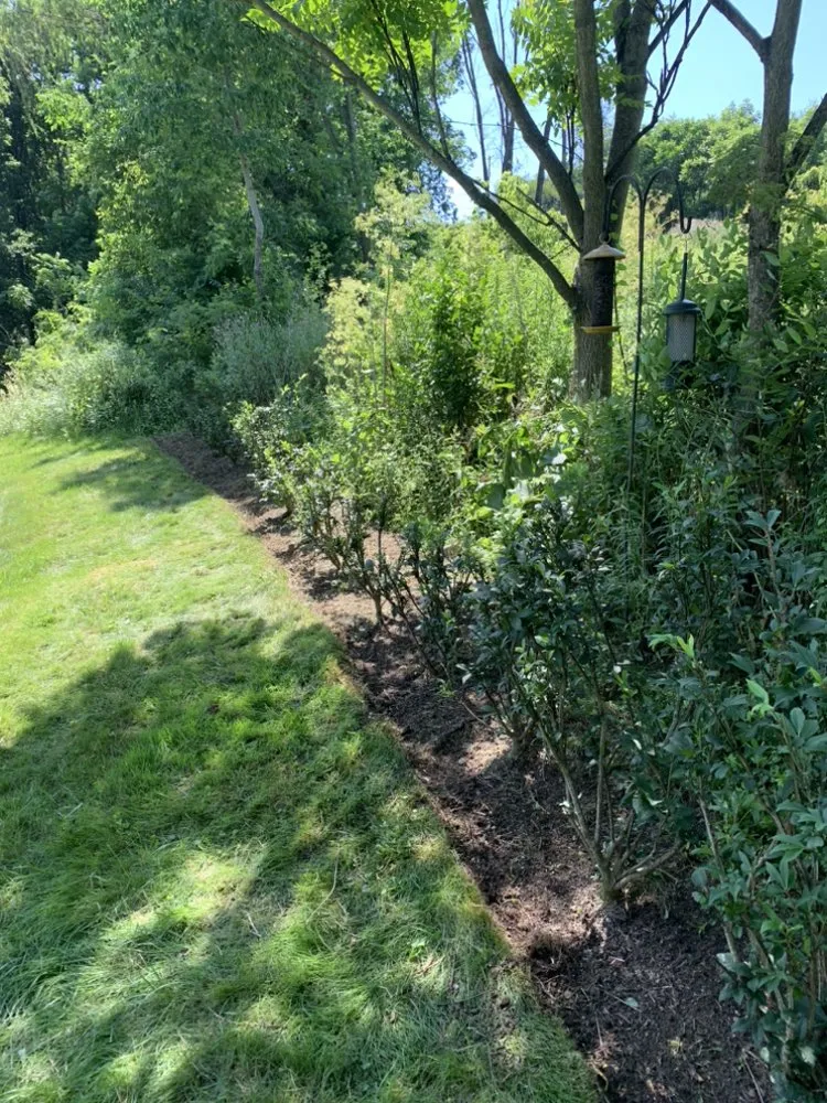 Trusted landscape installation experts serving Canonsburg, PA - Colosimo Outdoor Services