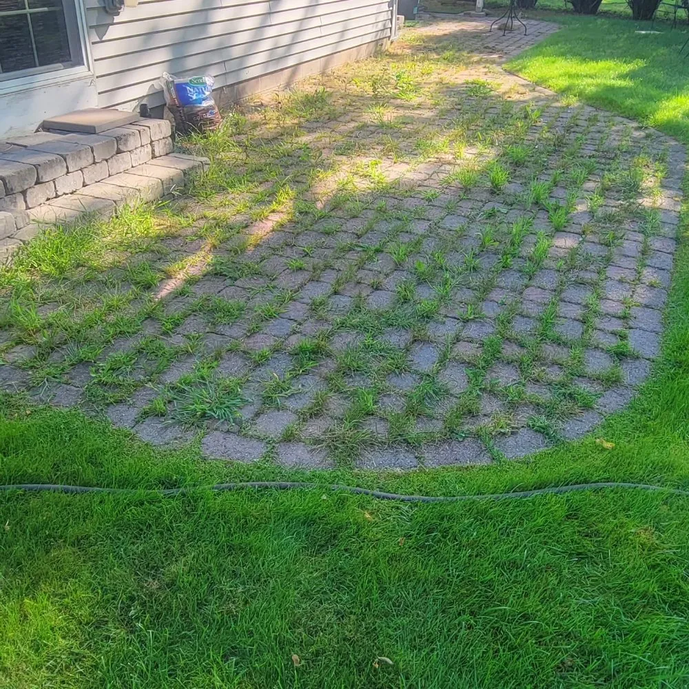 Custom yard cleanup service in Geneseo, NY - Colossal Landscaping