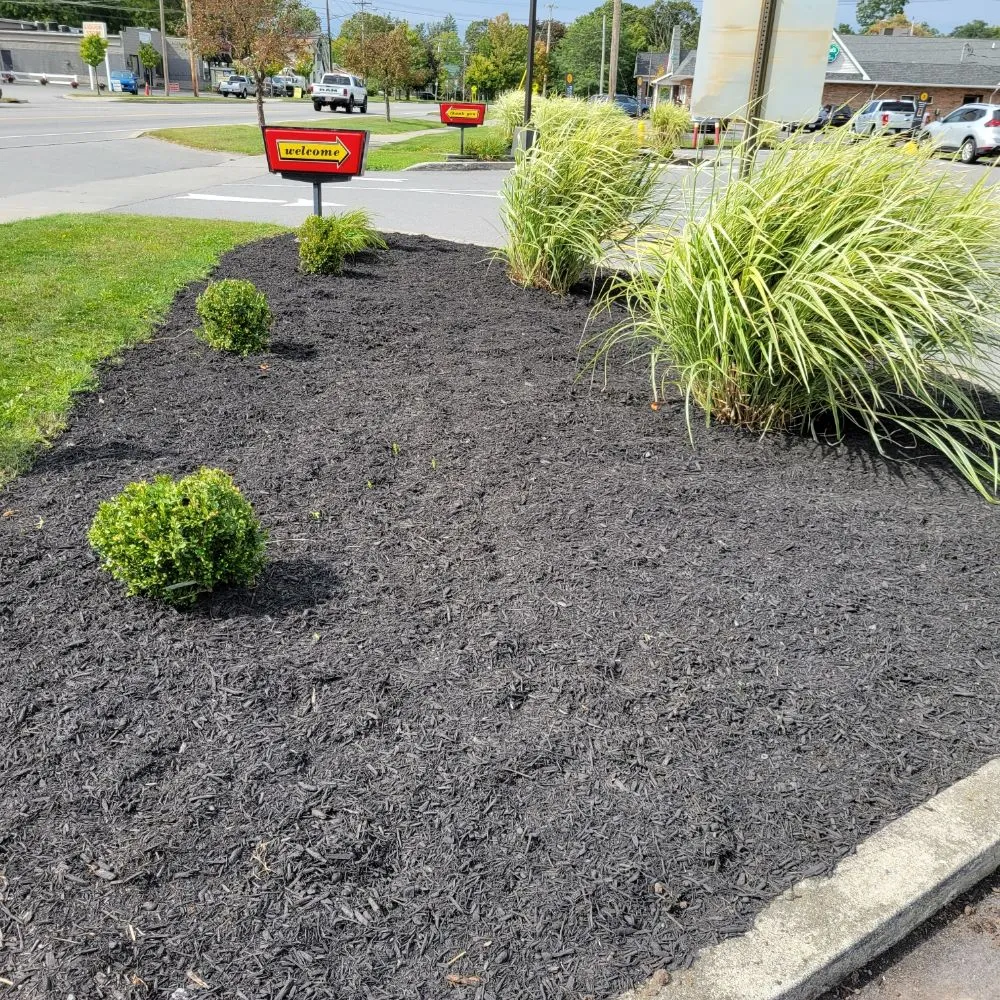 Local lawn care service for beautiful yards across Geneseo, NY - Colossal Landscaping