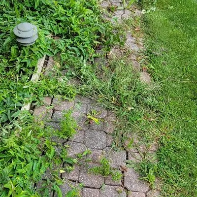 Colossal Landscaping