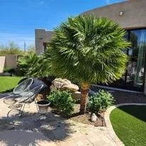 Professional landscape installation for beautiful yards across Vail, AZ - Colossal Landscaping