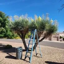 Affordable garden landscaping experts serving Vail, AZ - Colossal Landscaping