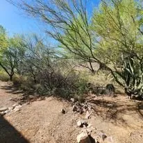 Reliable landscape installation in Vail, AZ - Colossal Landscaping